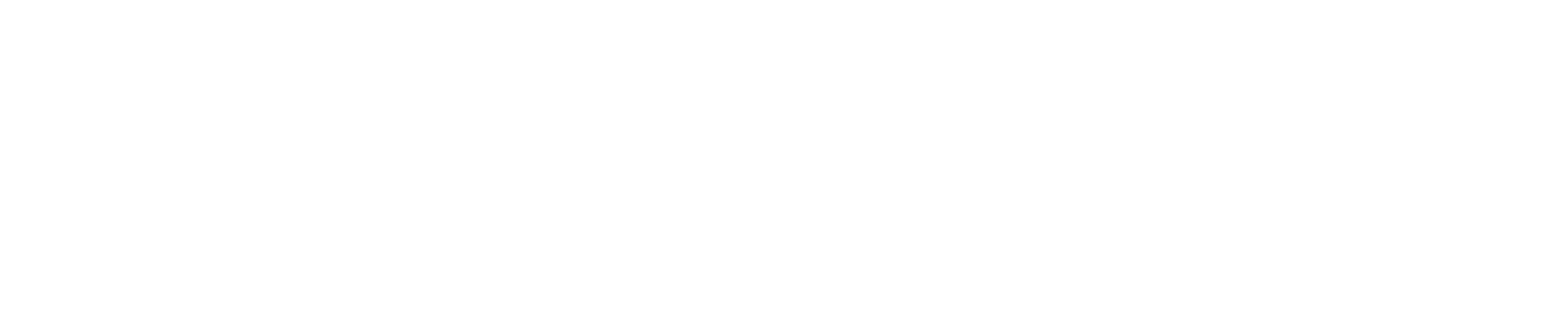 Logo WILZIO